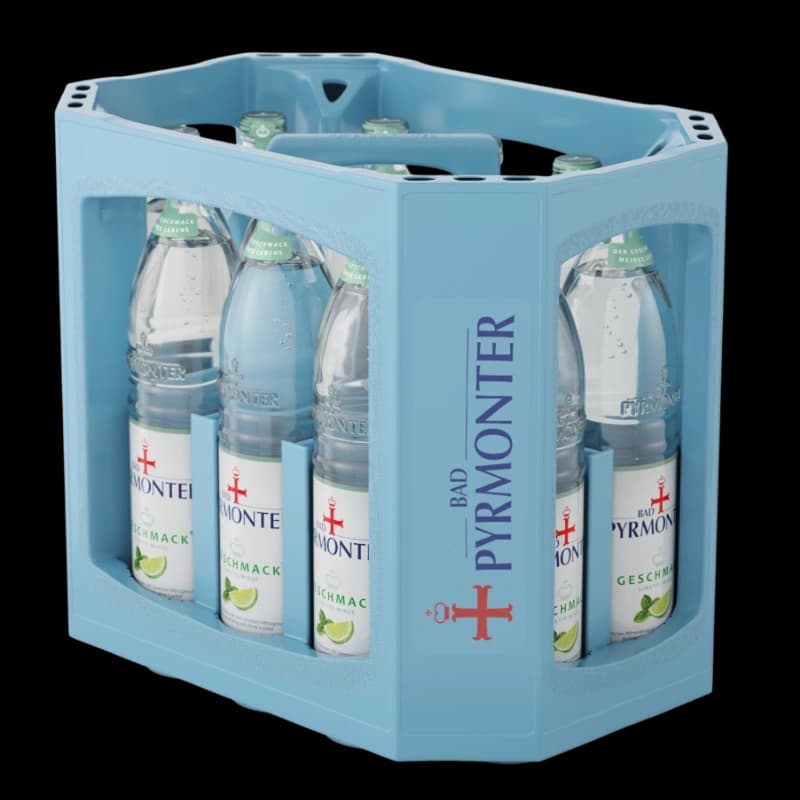 Bad Pyrmonter Limette-Minze 12x0,75l