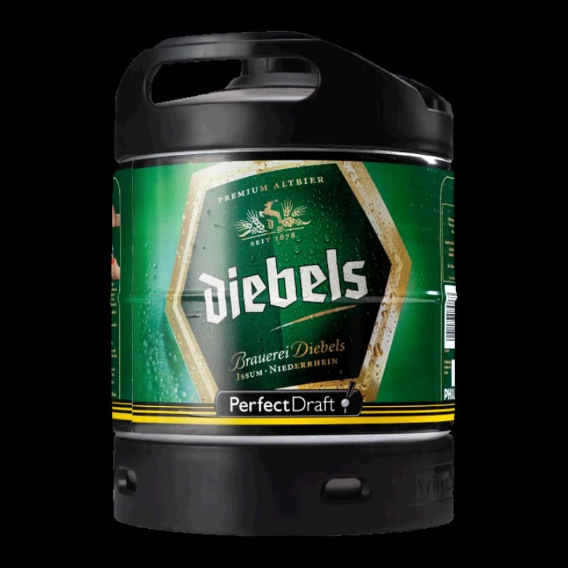 Diebels Alt Perfect Draft 1x6l