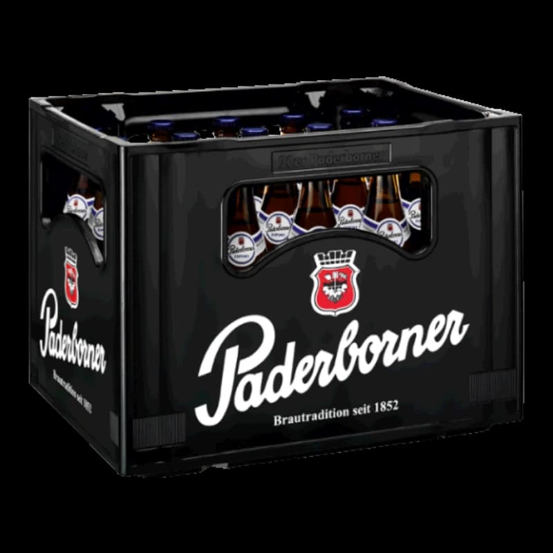 Paderborner Export 20x0,5l