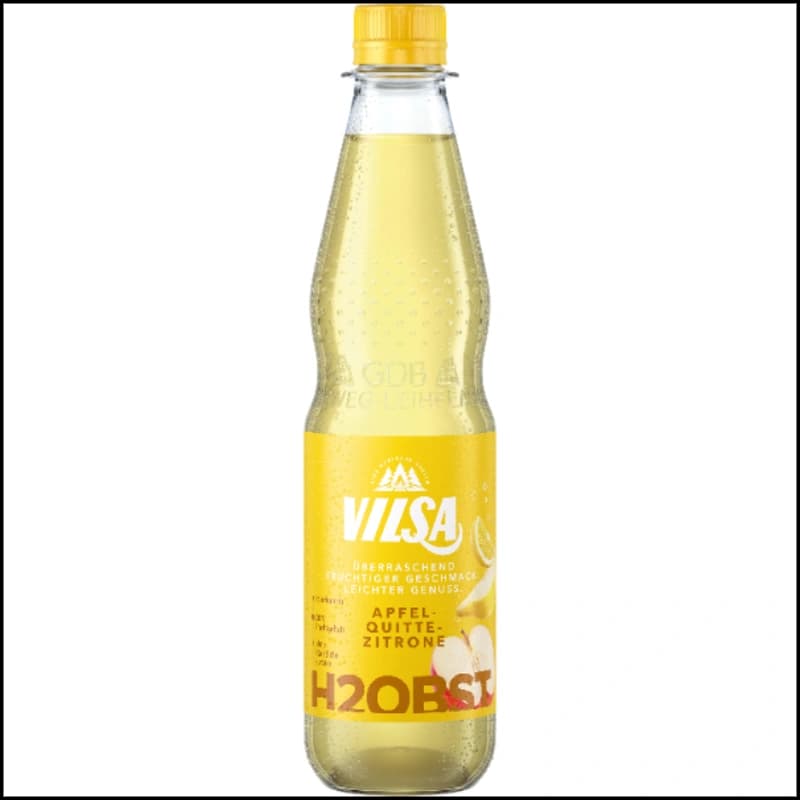 Vilsa H2 Obst Apfel-Quitte-Zitrone 0,5l
