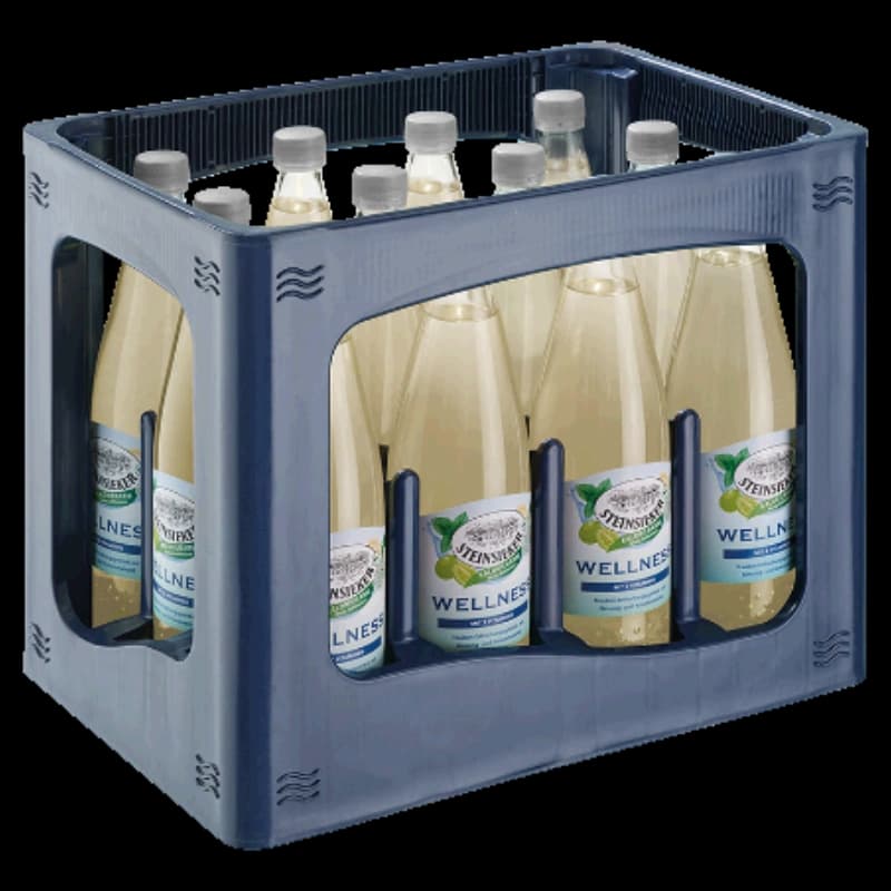 Steinsieker Wellness 12x0,75l 