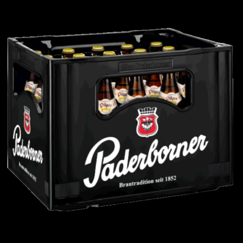 Paderborner Pilger Ur-Radler 20x0,5l 