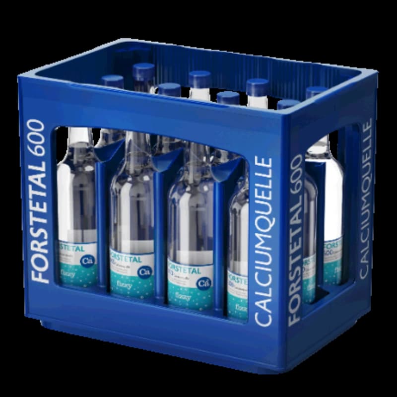 Forstetal 600 fizzy 12x0,75l