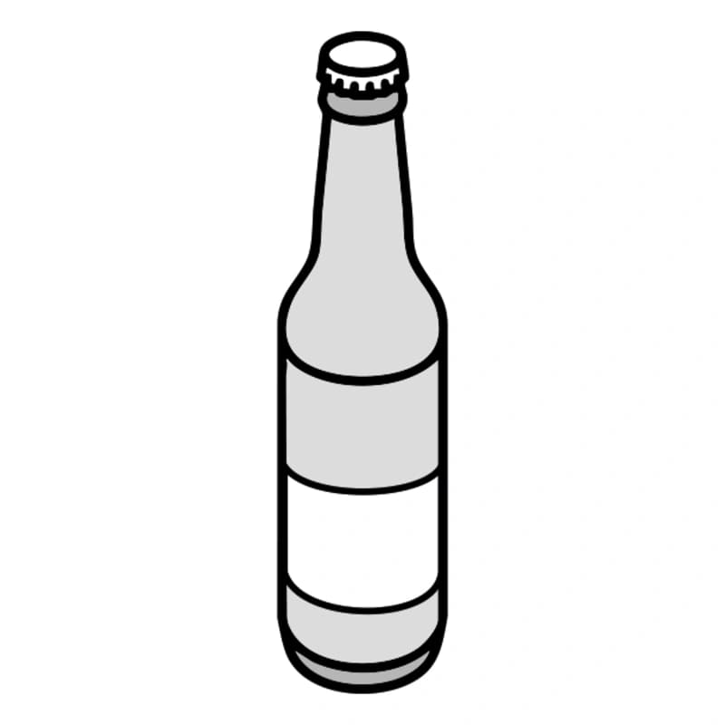 Bio Störtebeker Übersee Pils 0,5l